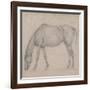 Etude de cheval-Edgar Degas-Framed Giclee Print