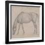 Etude de cheval-Edgar Degas-Framed Giclee Print