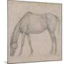 Etude de cheval-Edgar Degas-Mounted Giclee Print