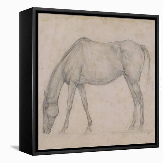 Etude de cheval-Edgar Degas-Framed Stretched Canvas