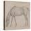 Etude de cheval-Edgar Degas-Stretched Canvas