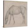 Etude de cheval-Edgar Degas-Stretched Canvas