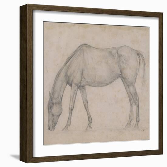 Etude de cheval-Edgar Degas-Framed Giclee Print