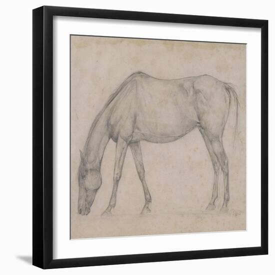 Etude de cheval-Edgar Degas-Framed Giclee Print