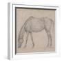 Etude de cheval-Edgar Degas-Framed Giclee Print