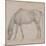 Etude de cheval-Edgar Degas-Mounted Giclee Print