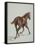 Etude de cheval-Adrien Emmanuel Marie-Framed Stretched Canvas