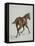 Etude de cheval-Adrien Emmanuel Marie-Framed Stretched Canvas