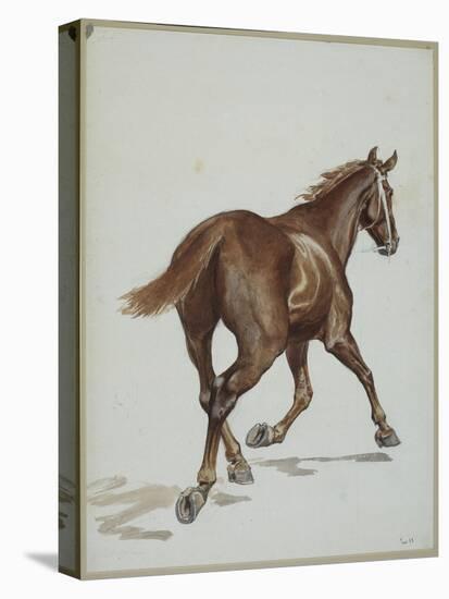 Etude de cheval-Adrien Emmanuel Marie-Stretched Canvas