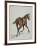 Etude de cheval-Adrien Emmanuel Marie-Framed Giclee Print