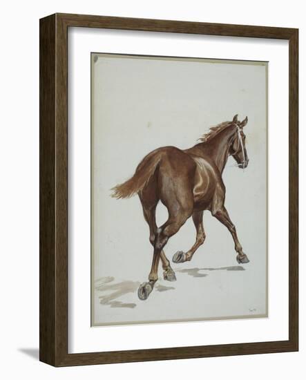 Etude de cheval-Adrien Emmanuel Marie-Framed Giclee Print