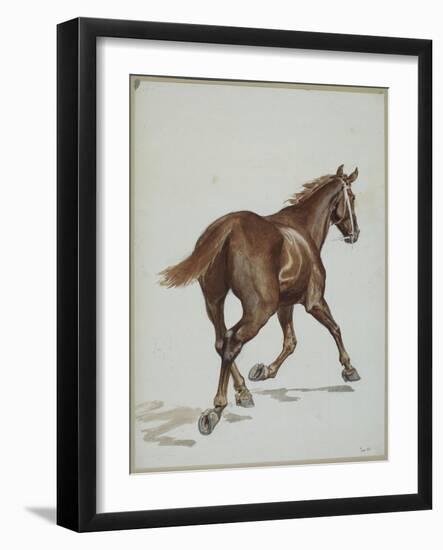 Etude de cheval-Adrien Emmanuel Marie-Framed Giclee Print