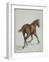 Etude de cheval-Adrien Emmanuel Marie-Framed Giclee Print