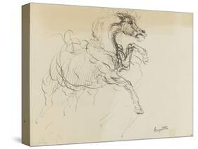 Etude de cheval-Louis Anquetin-Stretched Canvas
