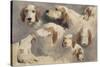 Etude de chien de chasse ; 8 esquisses-Rosa Bonheur-Stretched Canvas