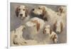 Etude de chien de chasse ; 8 esquisses-Rosa Bonheur-Framed Giclee Print