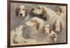 Etude de chien de chasse ; 8 esquisses-Rosa Bonheur-Framed Giclee Print