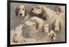 Etude de chien de chasse ; 8 esquisses-Rosa Bonheur-Framed Giclee Print