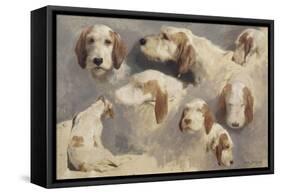 Etude de chien de chasse ; 8 esquisses-Rosa Bonheur-Framed Stretched Canvas