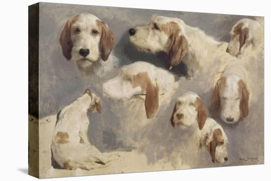 Etude de chien de chasse ; 8 esquisses-Rosa Bonheur-Stretched Canvas