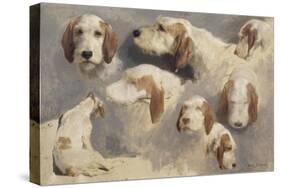 Etude de chien de chasse ; 8 esquisses-Rosa Bonheur-Stretched Canvas