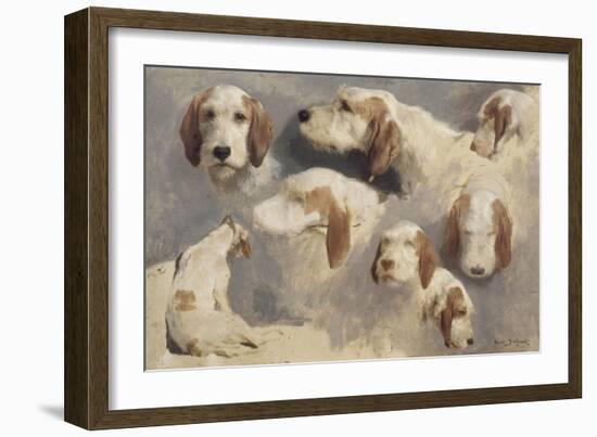 Etude de chien de chasse ; 8 esquisses-Rosa Bonheur-Framed Giclee Print