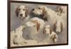 Etude de chien de chasse ; 8 esquisses-Rosa Bonheur-Framed Premium Giclee Print