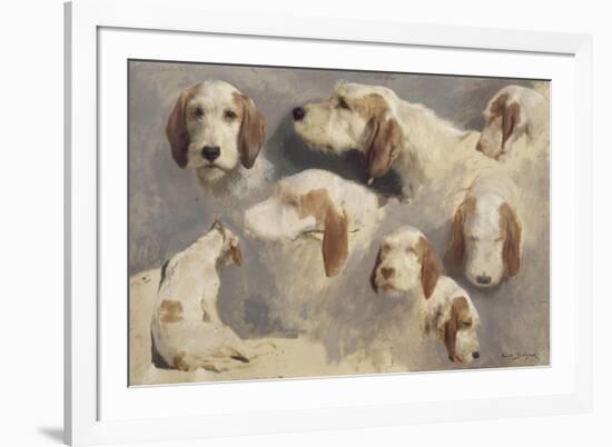 Etude de chien de chasse ; 8 esquisses-Rosa Bonheur-Framed Giclee Print