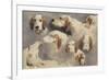 Etude de chien de chasse ; 8 esquisses-Rosa Bonheur-Framed Giclee Print