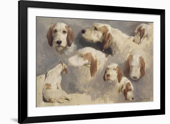 Etude de chien de chasse ; 8 esquisses-Rosa Bonheur-Framed Giclee Print