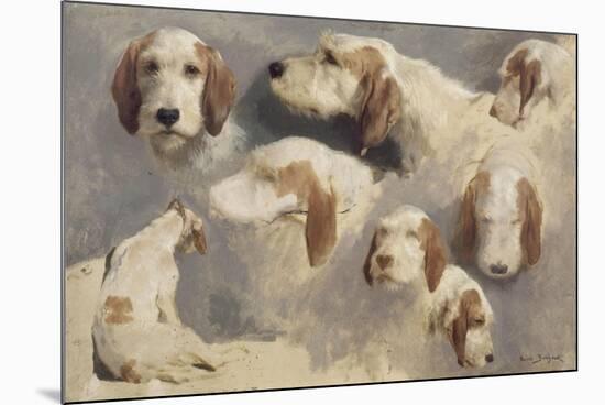 Etude de chien de chasse ; 8 esquisses-Rosa Bonheur-Mounted Giclee Print