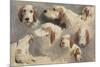 Etude de chien de chasse ; 8 esquisses-Rosa Bonheur-Mounted Giclee Print