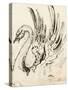 Etude de cygne pour Léda-Gustave Moreau-Stretched Canvas