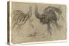 Etude de deux autruches debout et d'une tête-Pieter Boel-Stretched Canvas