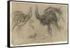 Etude de deux autruches debout et d'une tête-Pieter Boel-Framed Stretched Canvas