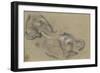 Etude de deux têtes d'éléphants tournées vers la droite, et étude d'oeil-Pieter Boel-Framed Giclee Print