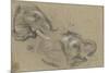 Etude de deux têtes d'éléphants tournées vers la droite, et étude d'oeil-Pieter Boel-Mounted Giclee Print