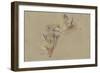 Etude de deux têtes de renards-Pieter Boel-Framed Premium Giclee Print