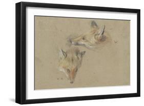 Etude de deux têtes de renards-Pieter Boel-Framed Premium Giclee Print