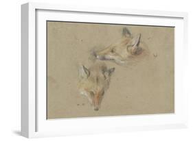 Etude de deux têtes de renards-Pieter Boel-Framed Giclee Print