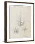 Etude de feuilles de echirops, de sphoerophalus, chardon cultivé, de chardon sauvage de la mer, de-Robert-Victor-Marie-Charles Ruprich-Framed Giclee Print