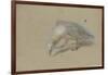 Etude de goéland-Pieter Boel-Framed Giclee Print