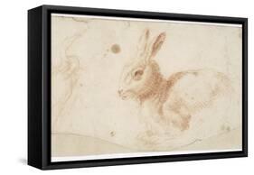 Etude de héron et de lapin-Arnould de Vuez-Framed Stretched Canvas