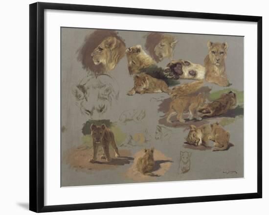 Etude de lions, de lionnes et de lionceaux, 17 esquisses-Rosa Bonheur-Framed Giclee Print