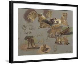 Etude de lions, de lionnes et de lionceaux, 17 esquisses-Rosa Bonheur-Framed Giclee Print