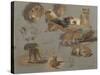 Etude de lions, de lionnes et de lionceaux, 17 esquisses-Rosa Bonheur-Stretched Canvas
