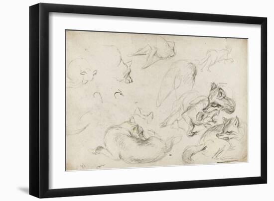 Etude de loups-Pieter Boel-Framed Giclee Print