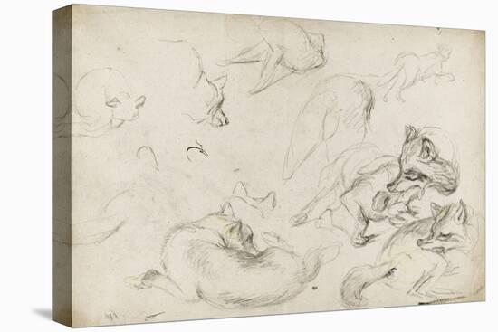 Etude de loups-Pieter Boel-Stretched Canvas