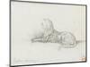 Etude de panthère pour "Salomé dansant devant Hérode"-Gustave Moreau-Mounted Giclee Print