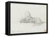 Etude de panthère pour "Salomé dansant devant Hérode"-Gustave Moreau-Framed Stretched Canvas